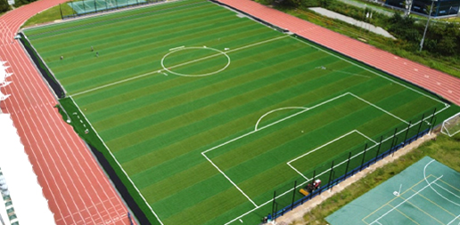 Sports Turf Solutions